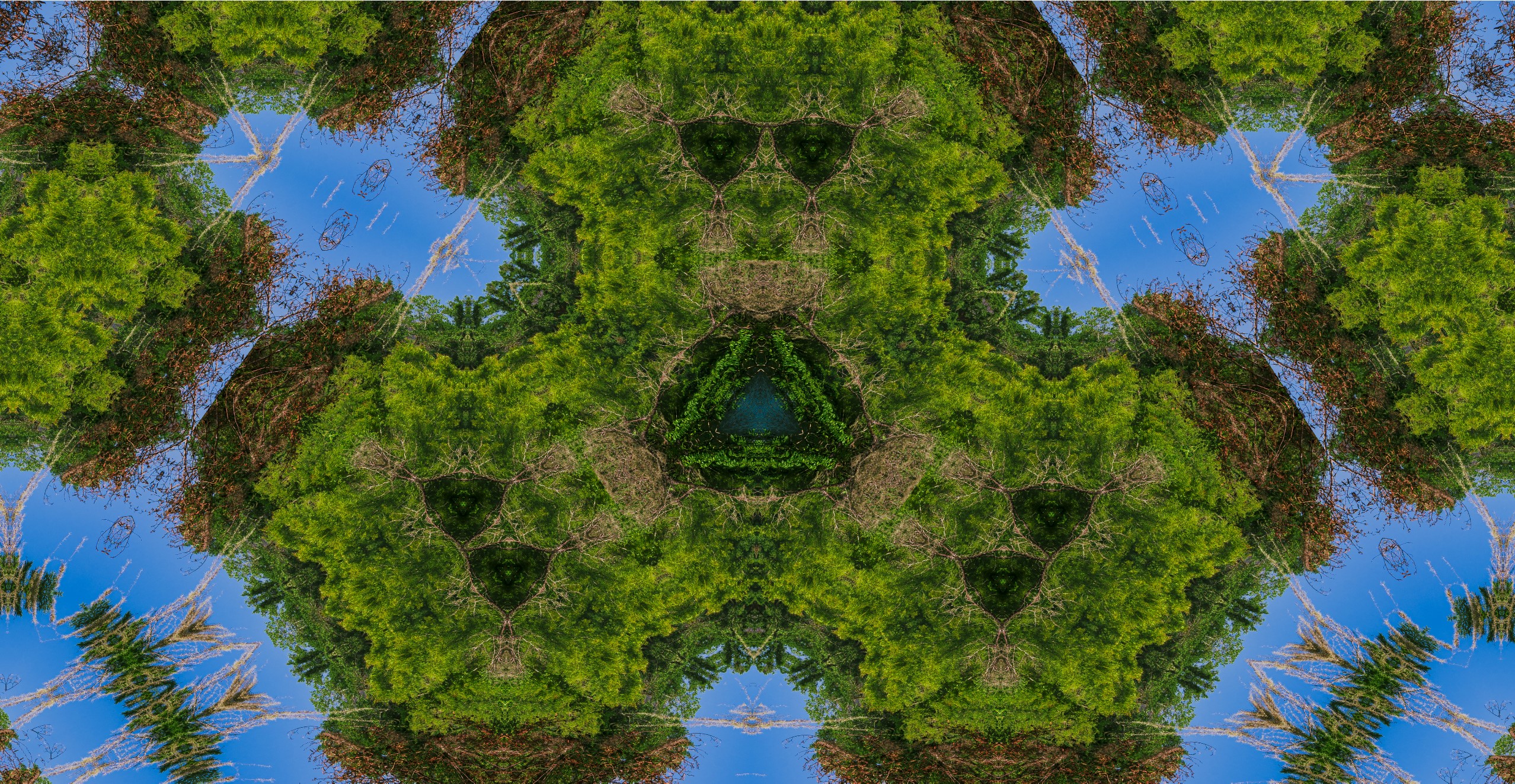 Kaleidoscope of Nature